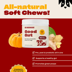 OH NORMAN! probiotic chews taste showcases pumpkin-cinnamon flavor appeal
