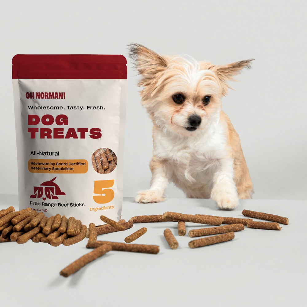 OH NORMAN! free-range beef image emphasizes natural ingredients for discerning dogs.