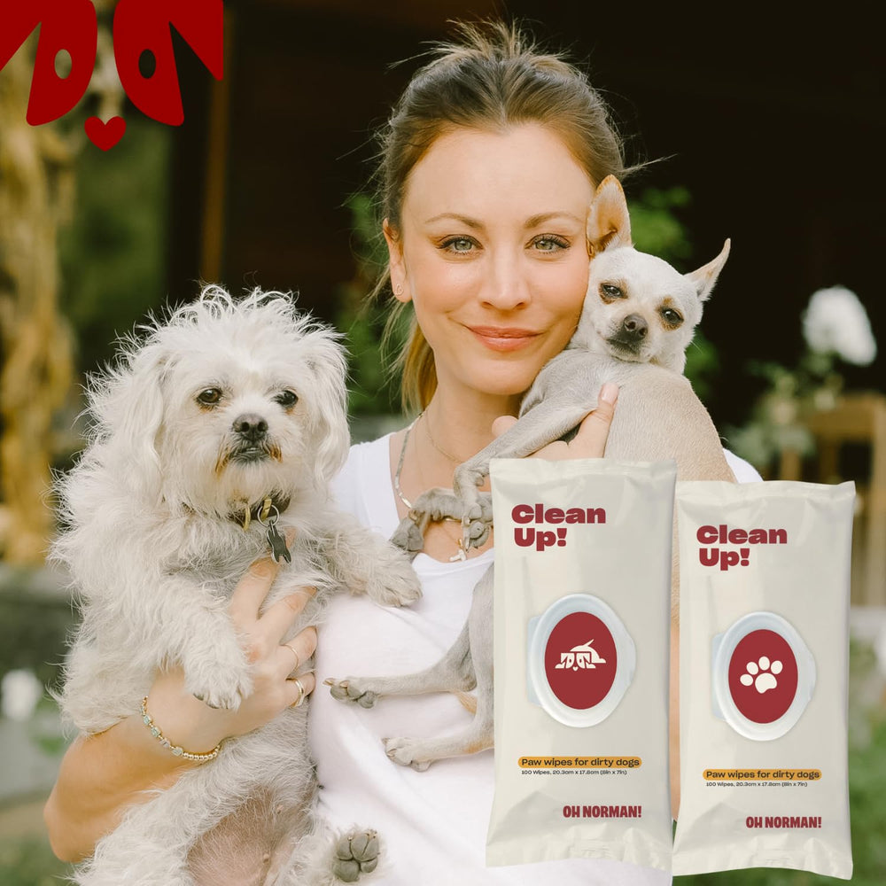 OH NORMAN! vet-approved wipes closeup emphasizes high-quality ingredients for cleanliness