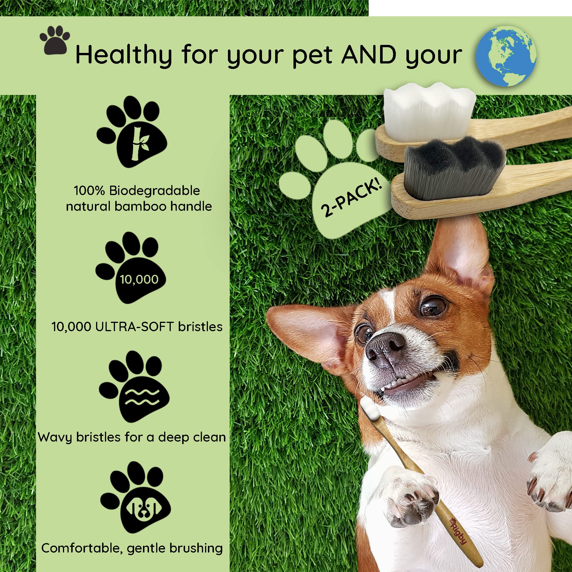 OH RIGBY dog toothbrush in action helps reduce plaque buildup during daily brushing.