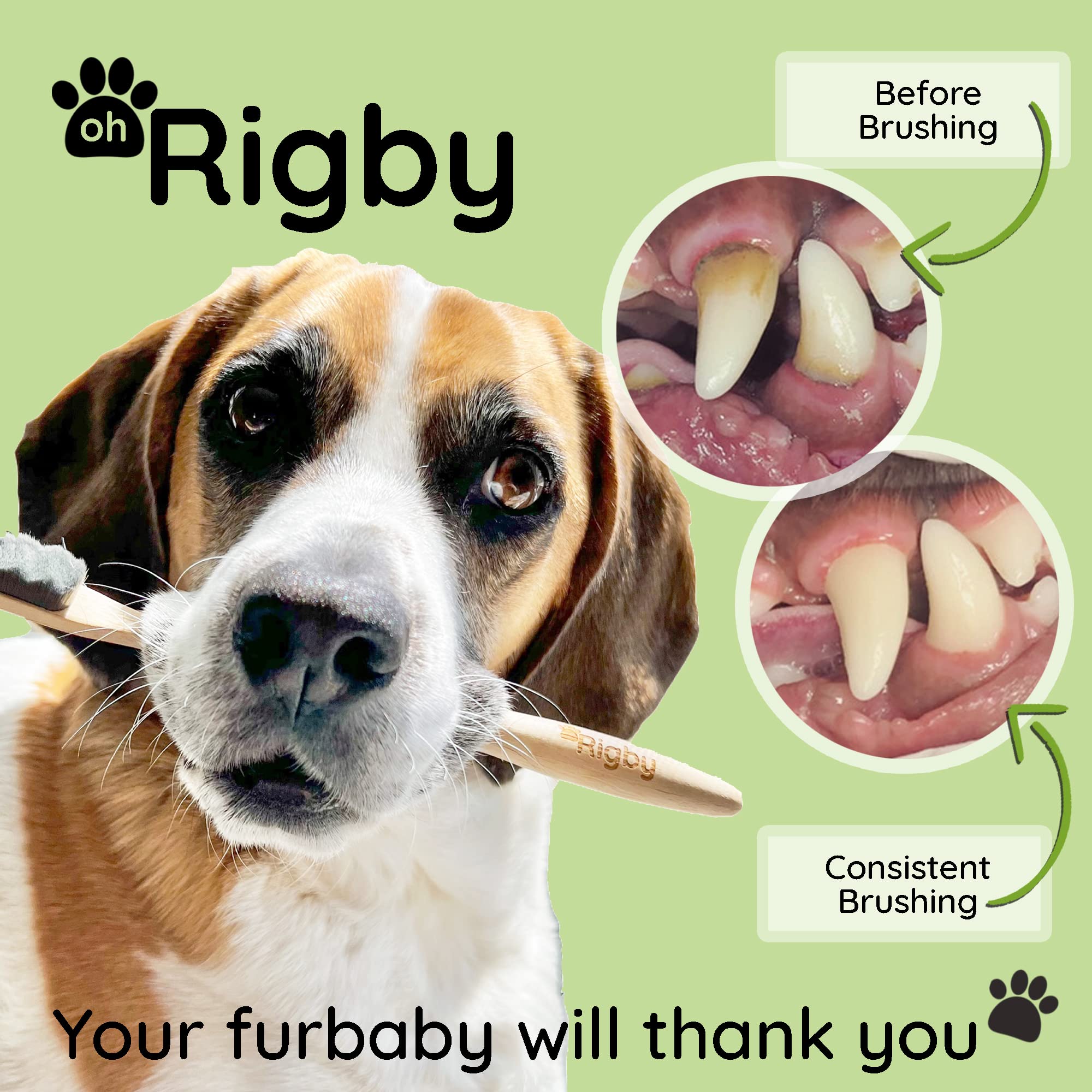 OH RIGBY packaging made from recycled materials supports sustainable brushing routines.