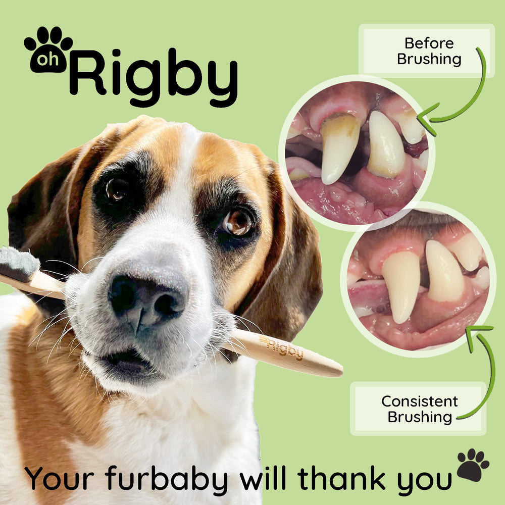OH RIGBY packaging made from recycled materials supports sustainable brushing routines.
