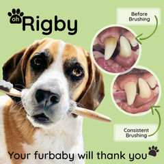 OH RIGBY packaging made from recycled materials supports sustainable brushing routines.
