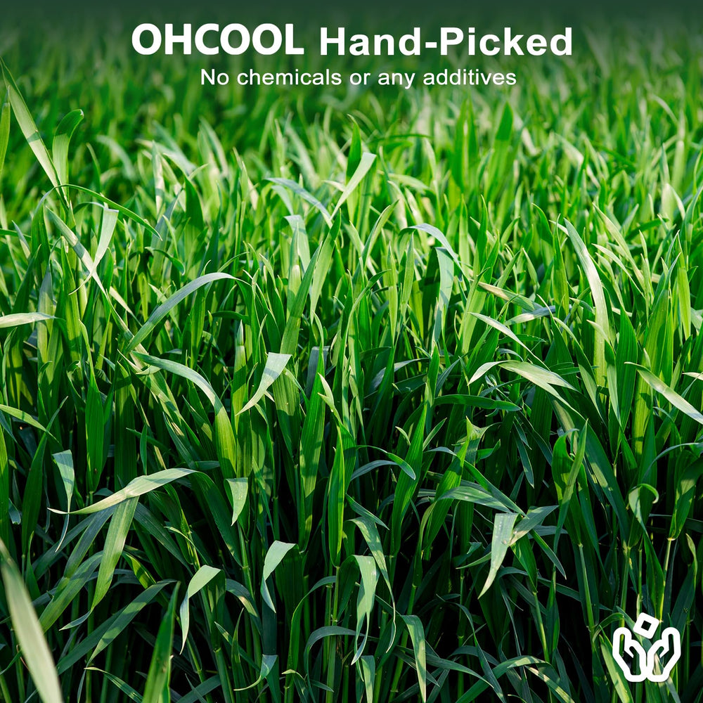 Ohcool Premium Oat Hay green fresh appearance invites nibbling and healthy snacking.