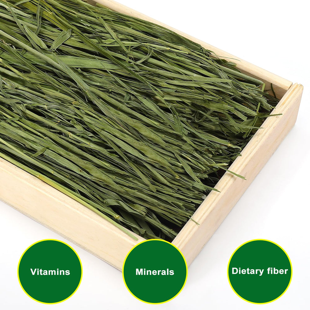 Ohcool Premium Oat Hay dust-free pack enhances clean feeding in cages.