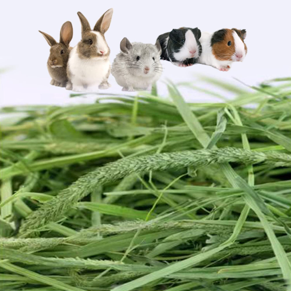 Ohcool Timothy Hay is for rabbits and small pets in daily use.