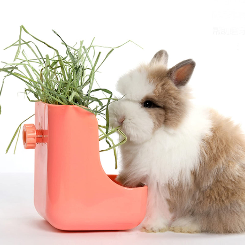 Ohcool Timothy Hay fresh green scent aids daily feeding ritual.