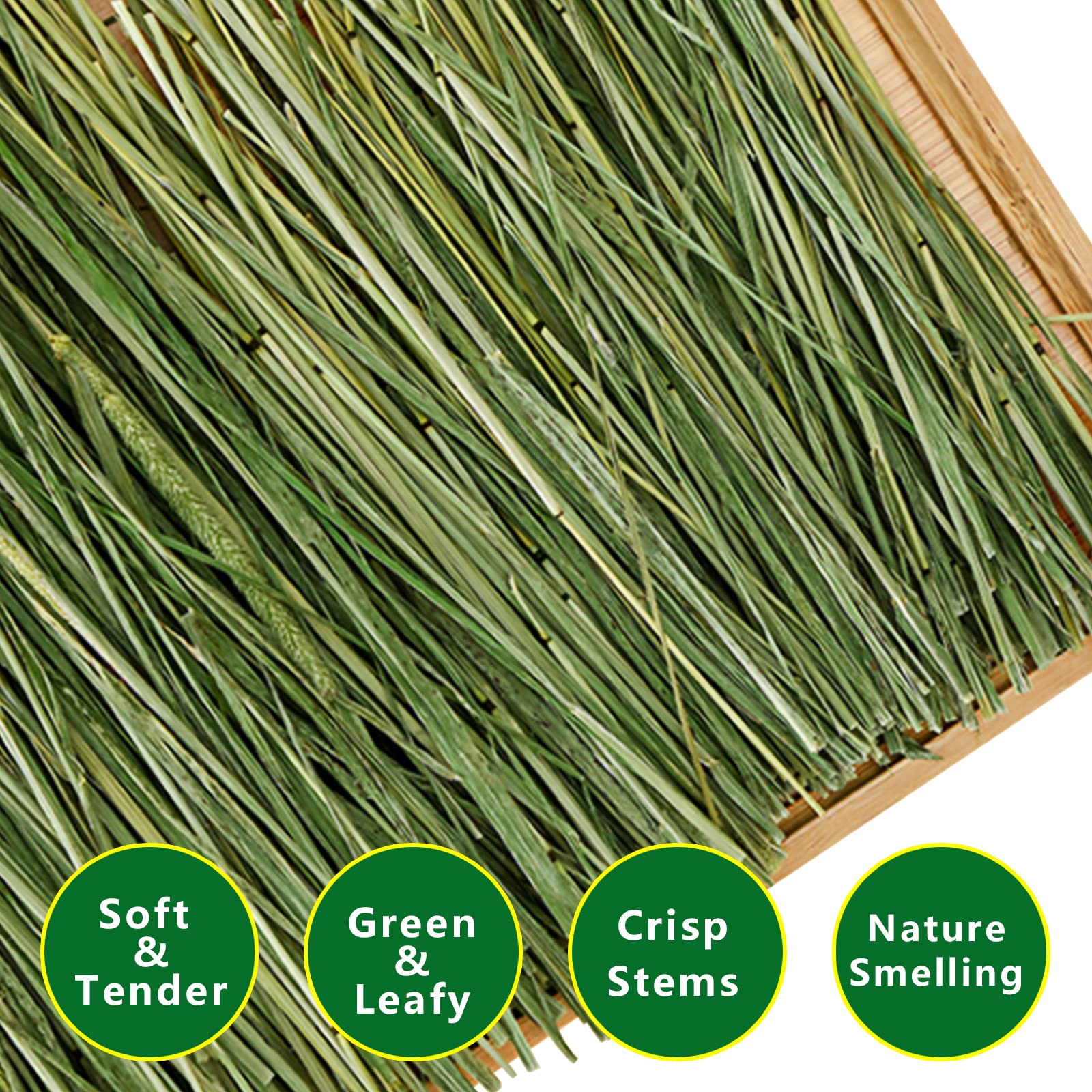 Ohcool Timothy Hay long stems provide crisp chew for pets