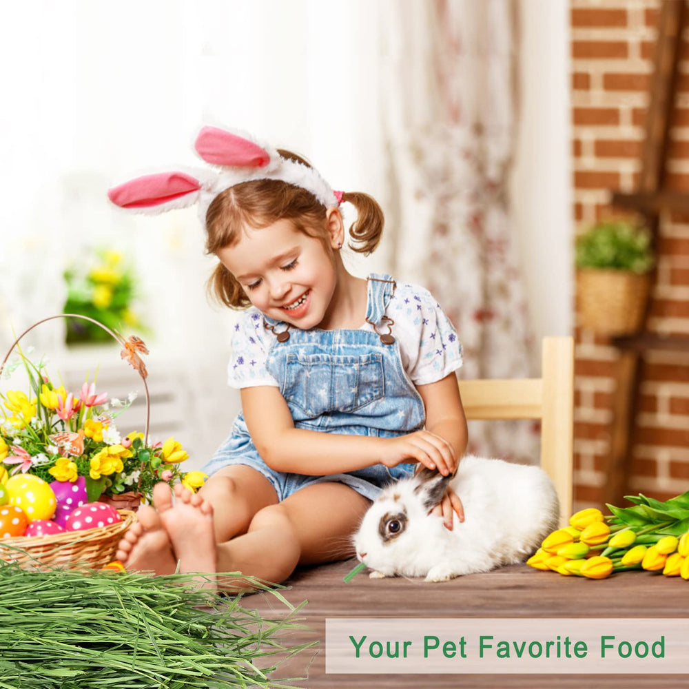Ohcool Timothy Hay pet chew closeup emphasizes fiber for small animals