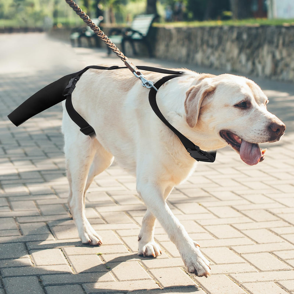 OHCOZZY tail protector fits medium to large dogs for versatile care