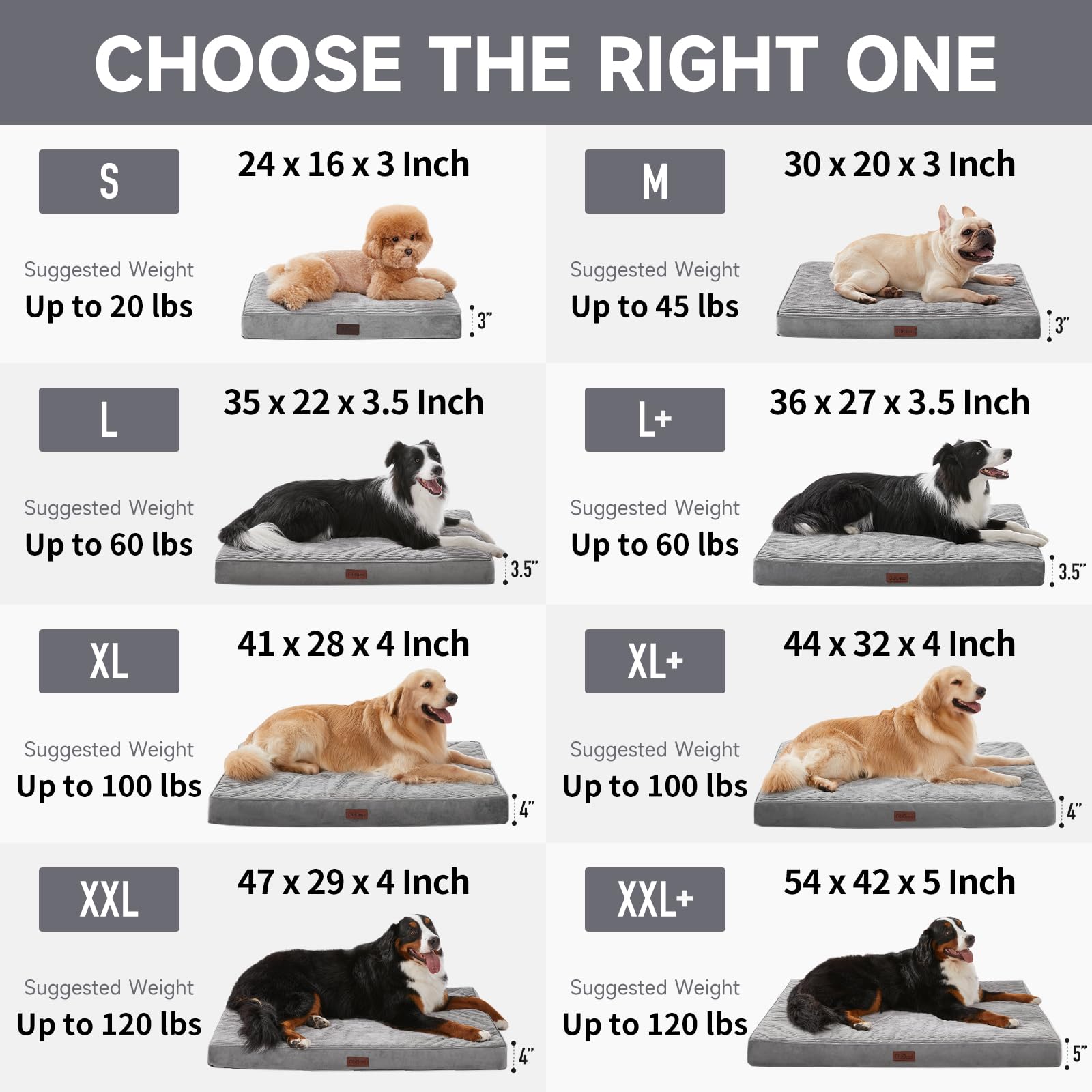 OhGeni large-pet bed in crate-ready setup demonstrates crate compatibility.