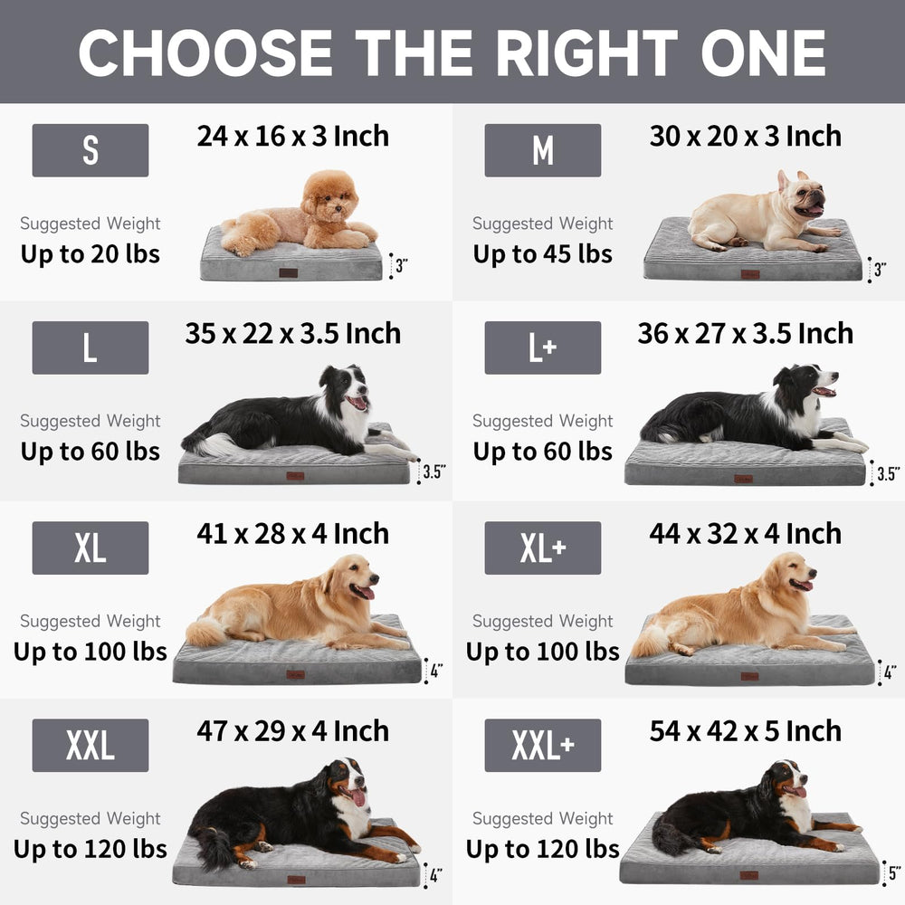 OhGeni large-pet bed in crate-ready setup demonstrates crate compatibility.