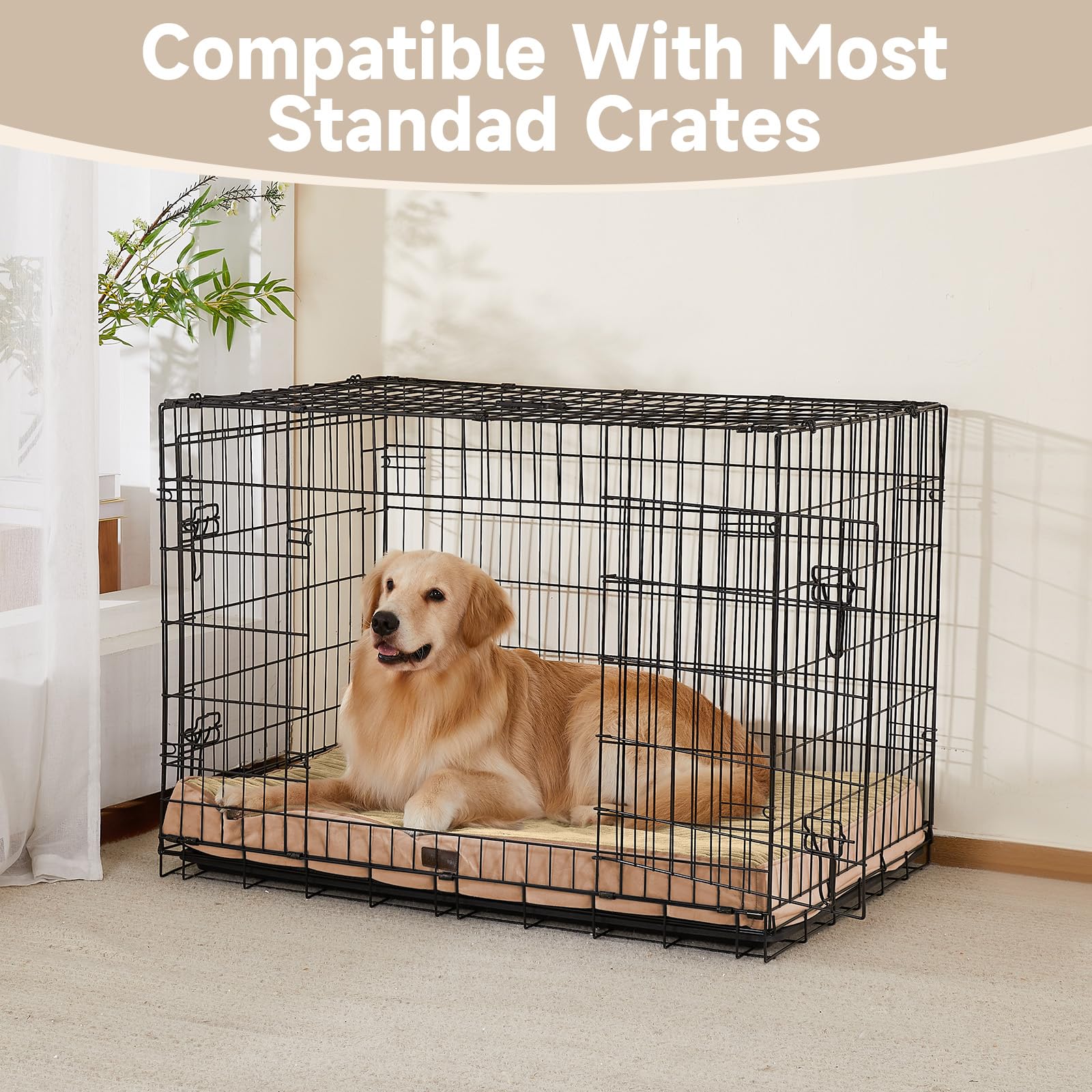 OhGeni Orthopedic Dog Bed 41in Khaki side view shows roomy space for large dogs.