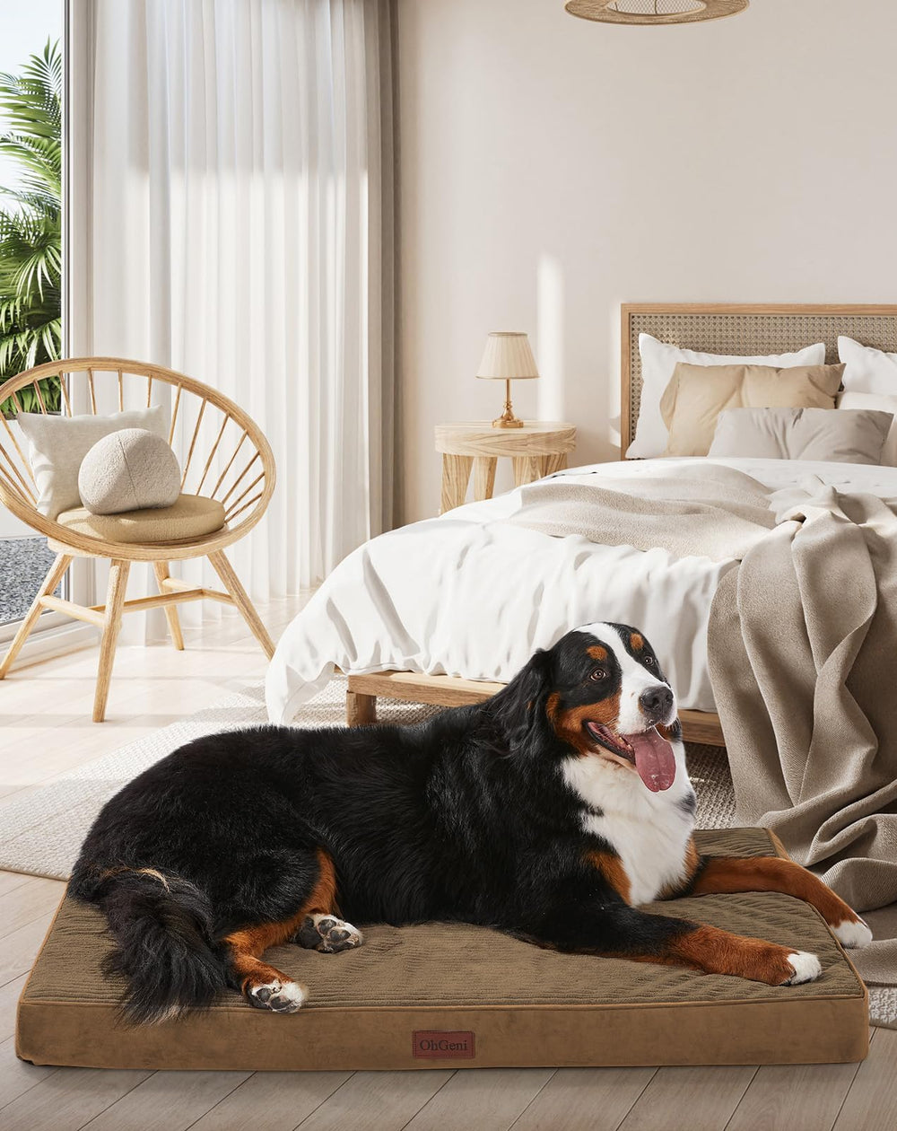 OhGeni orthopedic dog bed 47-inch coffee cover, removable for easy cleaning.