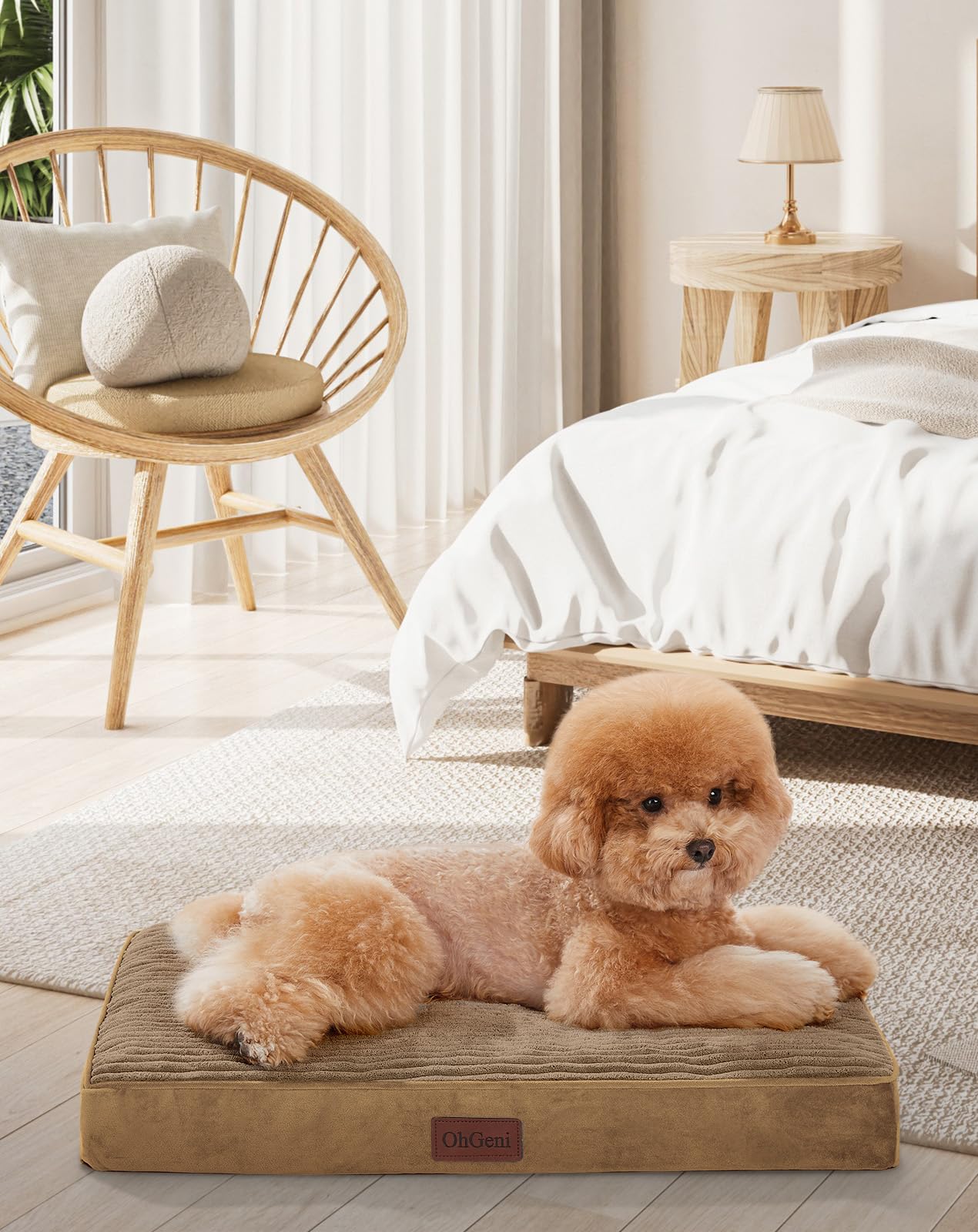 OhGeni orthopedic dog bed with egg-crate foam for cushioned naps.