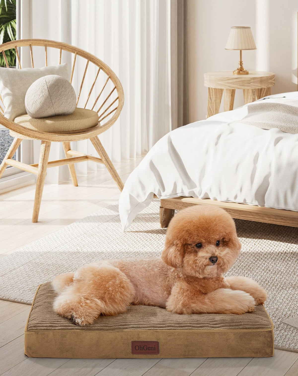 OhGeni orthopedic dog bed with egg-crate foam for cushioned naps.