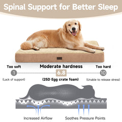 OhGeni Orthopedic Dog Bed foam detail 25D reveals egg-crate support across the surface.