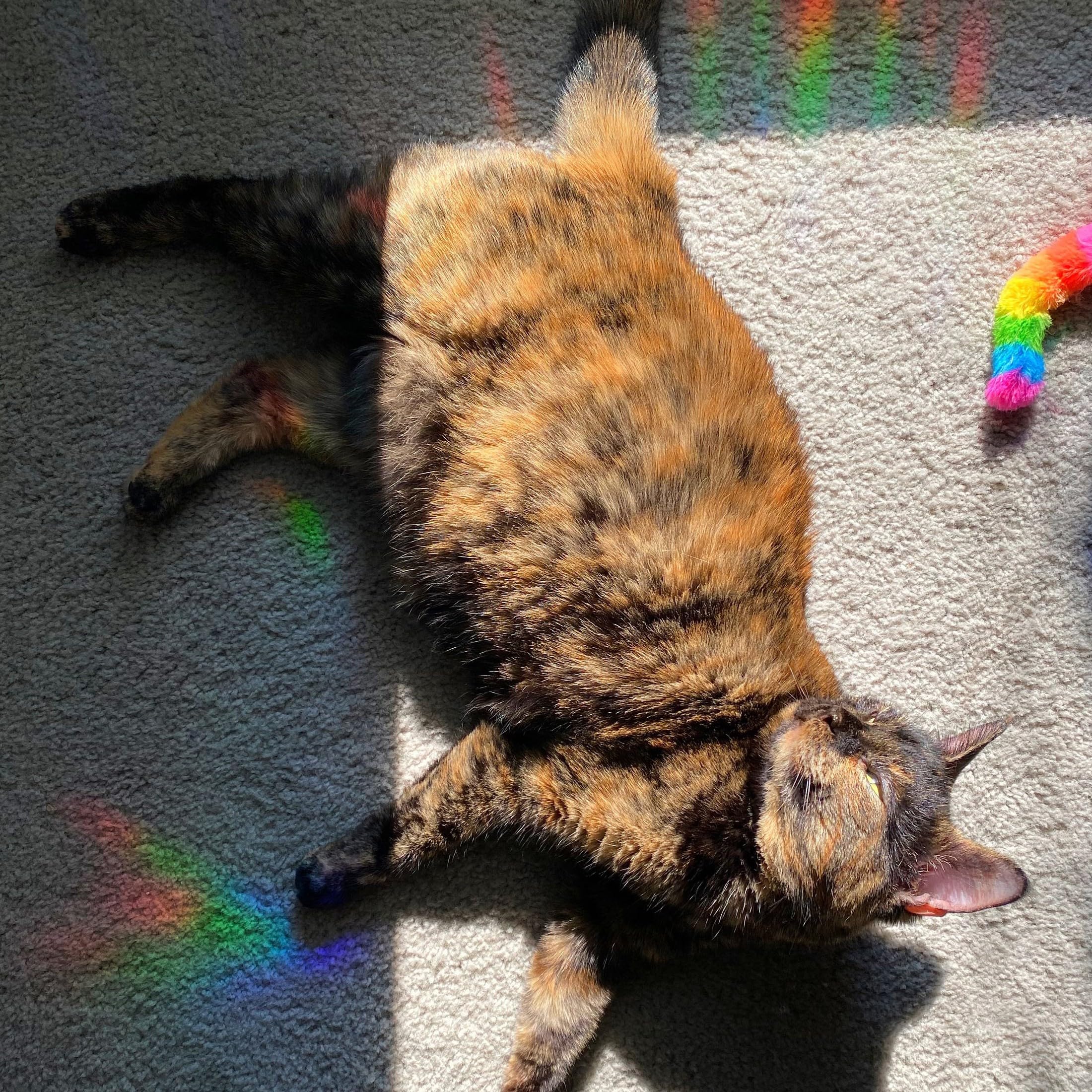 Ohhvvow Cat Memery SunCatcher chain-attachment shows secure hanging details.