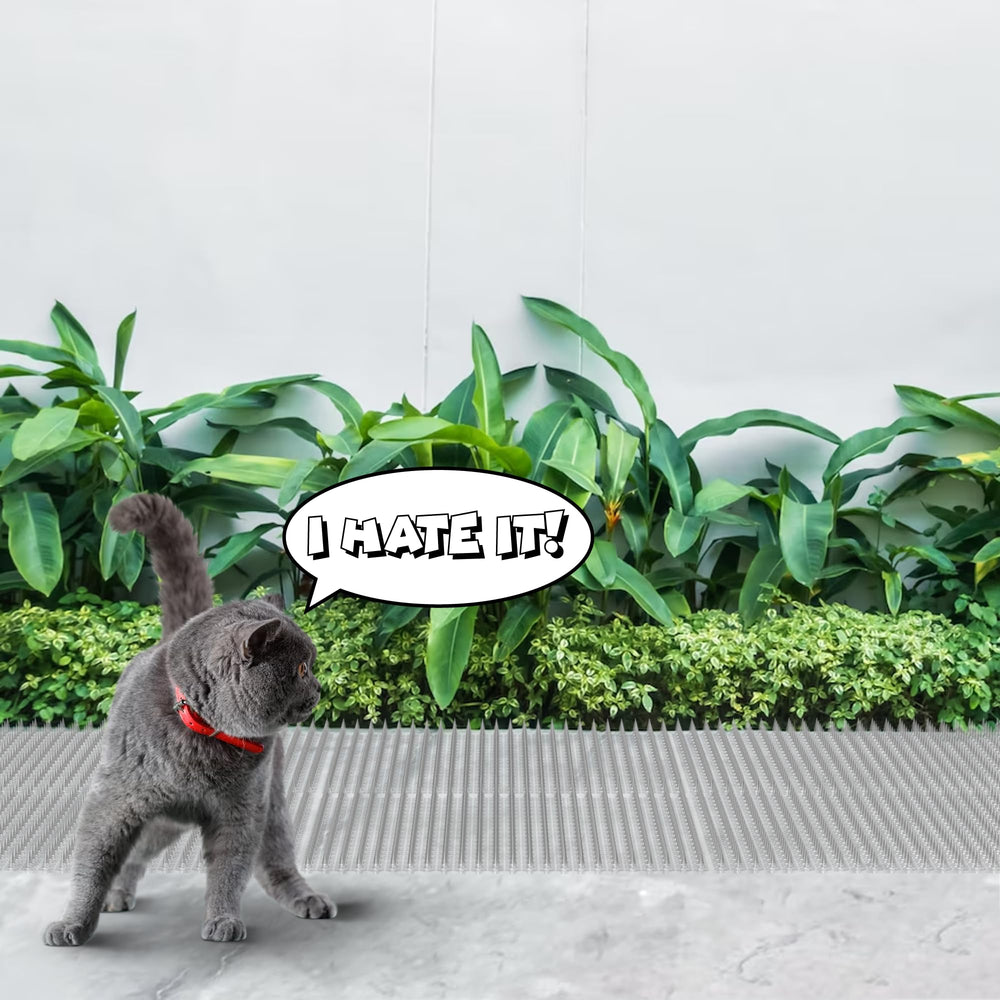 ohlela dog-counter-surf-deterrent keeps dogs off couches and counters
