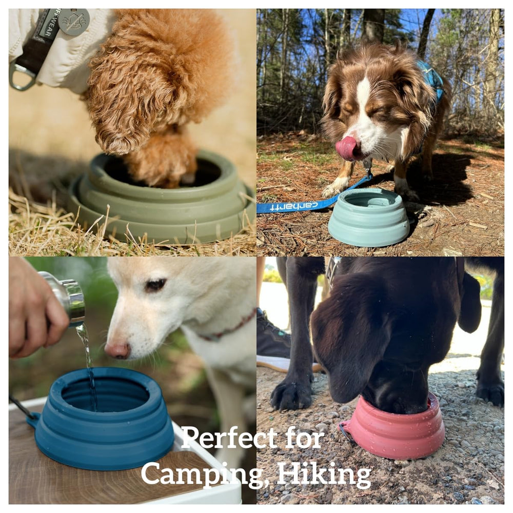 OHMO 24oz capacity ideal for large dogs on adventures