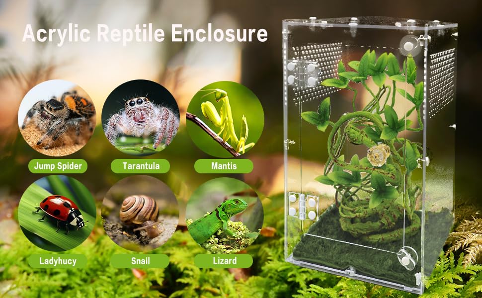 Oialonne DIY installation with clear instructions or video guide.