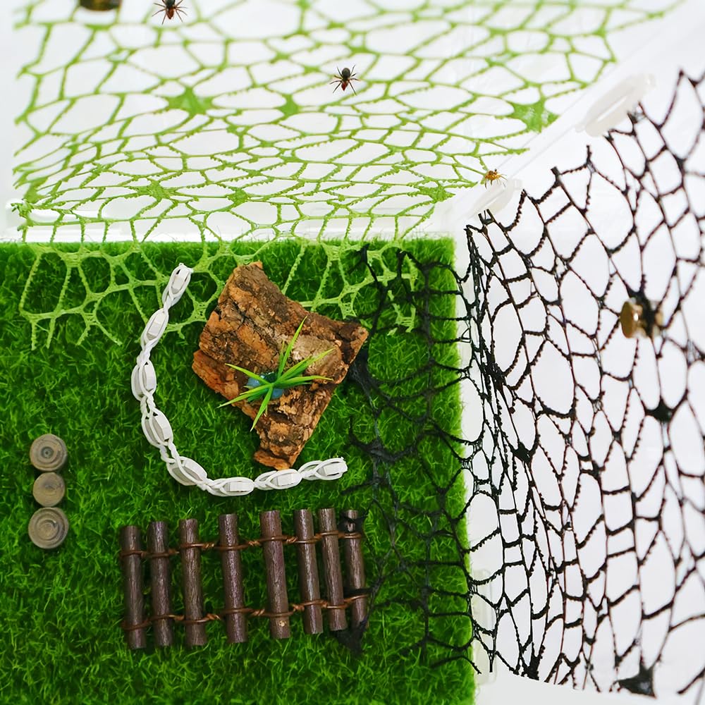 Oialonne jumping spider climbing web 1 offers natural climbing for enrichment.