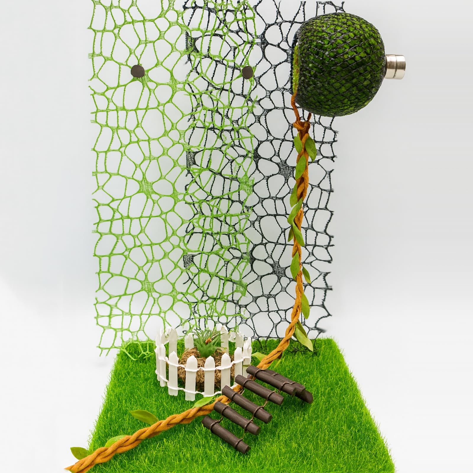 Oialonne jumping spider climbing web 2 adds exploration opportunities within the enclosure.