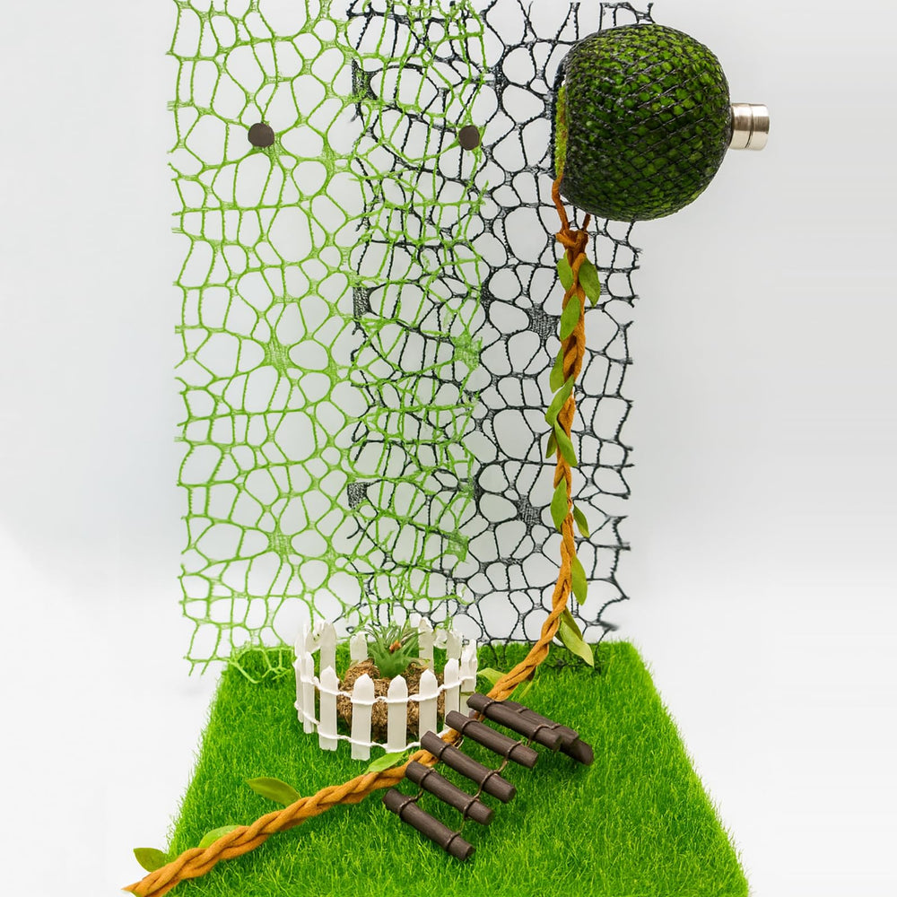 Oialonne jumping spider climbing web 2 adds exploration opportunities within the enclosure.
