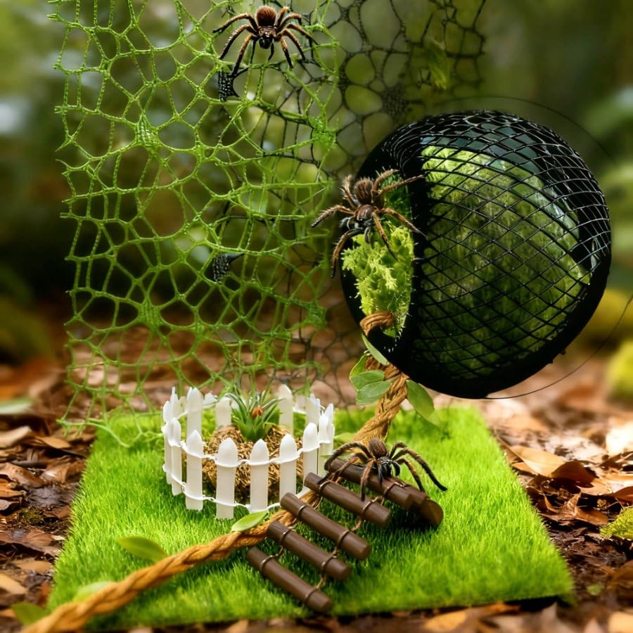 Oialonne jumping spider decor-pieces enhances habitat aesthetics and microhabitat variety.