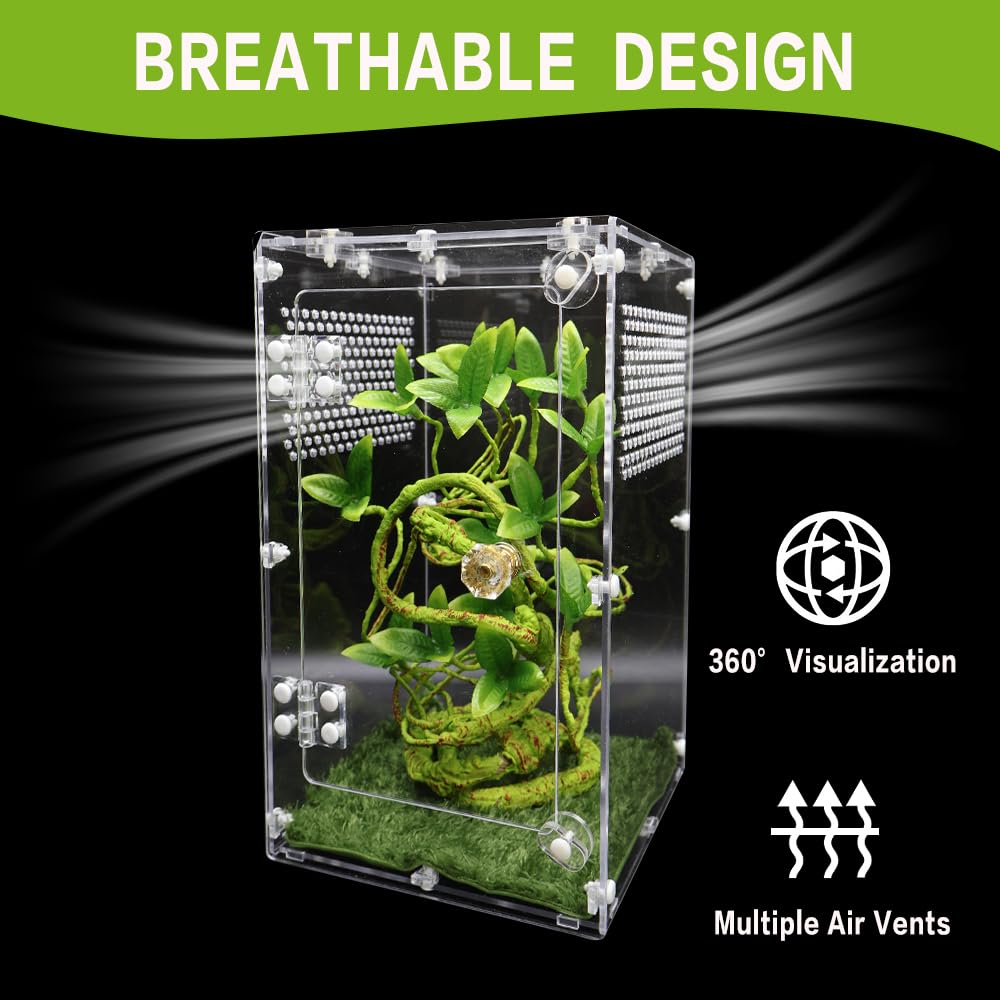 Oialonne enclosure supports tarantulas, mantises, snails, frogs, and other small creatures.