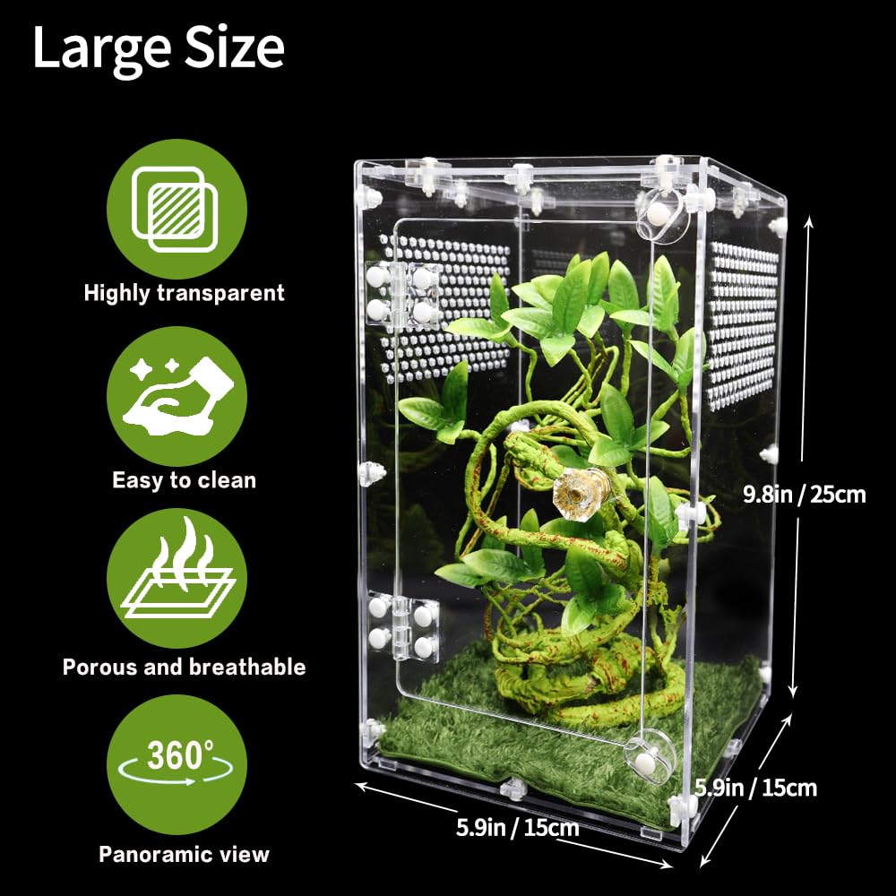 Oialonne spider terrarium transparent view enables 360° observation of your pet.