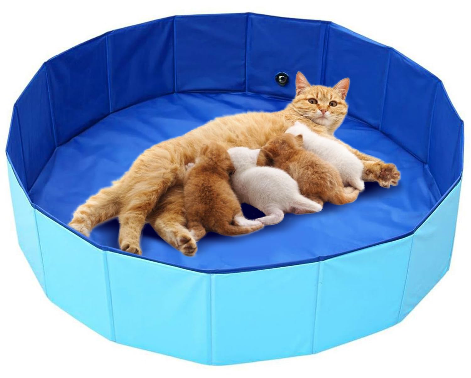 OIEKUN Cat Birthing Box main view shows sturdy whelping box designed for comfort and safety.