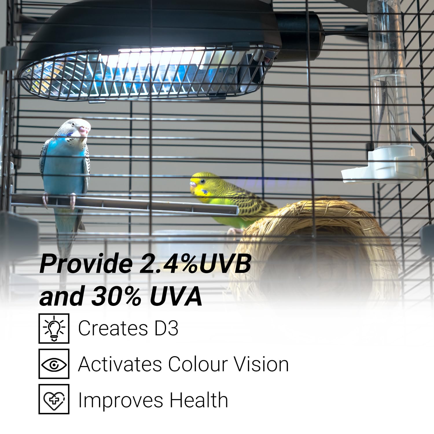 Oiibo AvianSun reflector design boosts light output for better coverage.