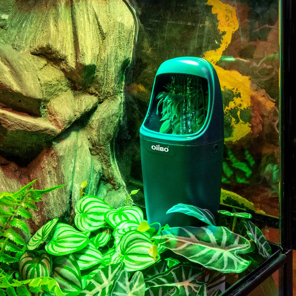 Oiibo reptile water fountain easy installation for quick setup