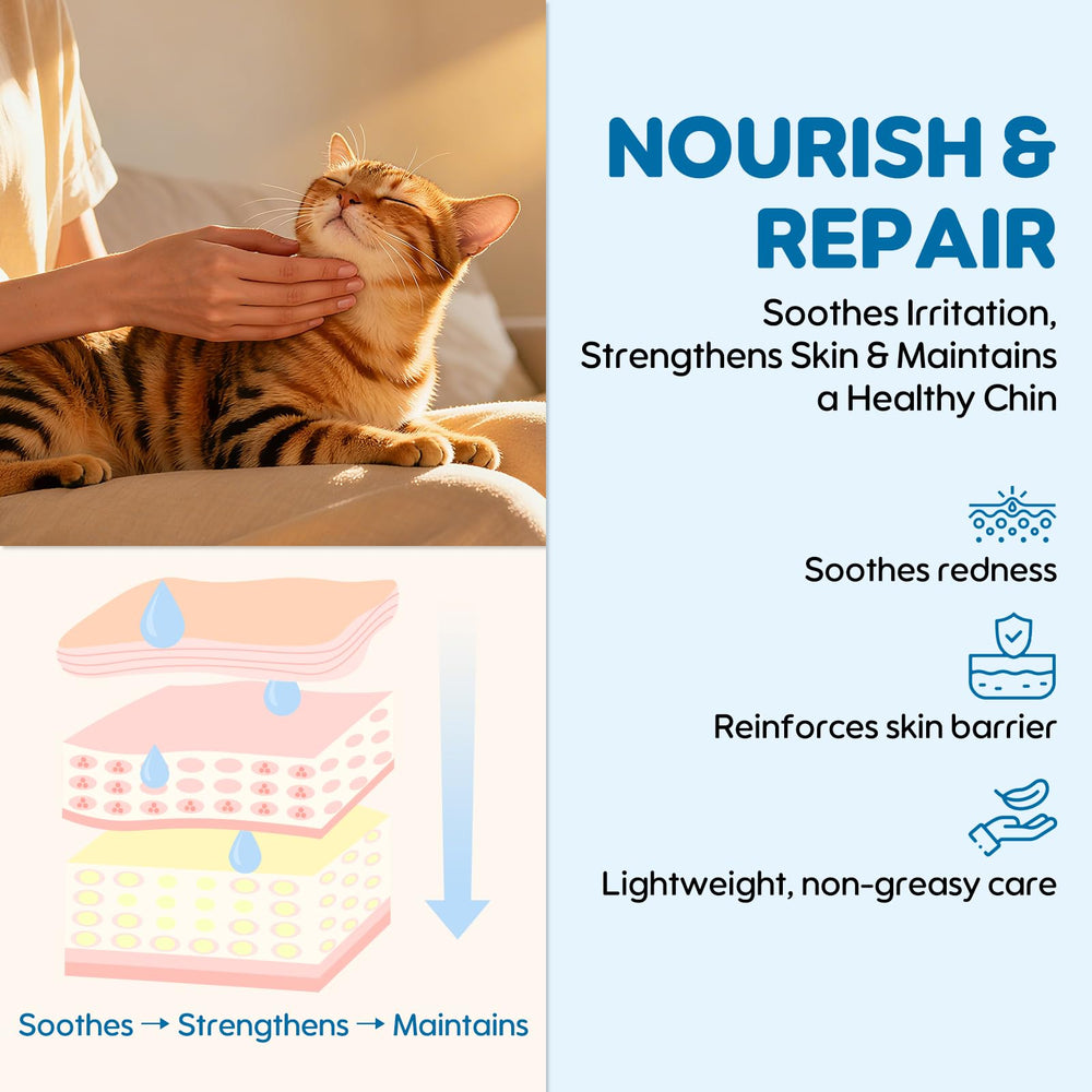 Oivolii Cat Chin Care Kit packaging box highlights safe, alcohol-free botanicals.