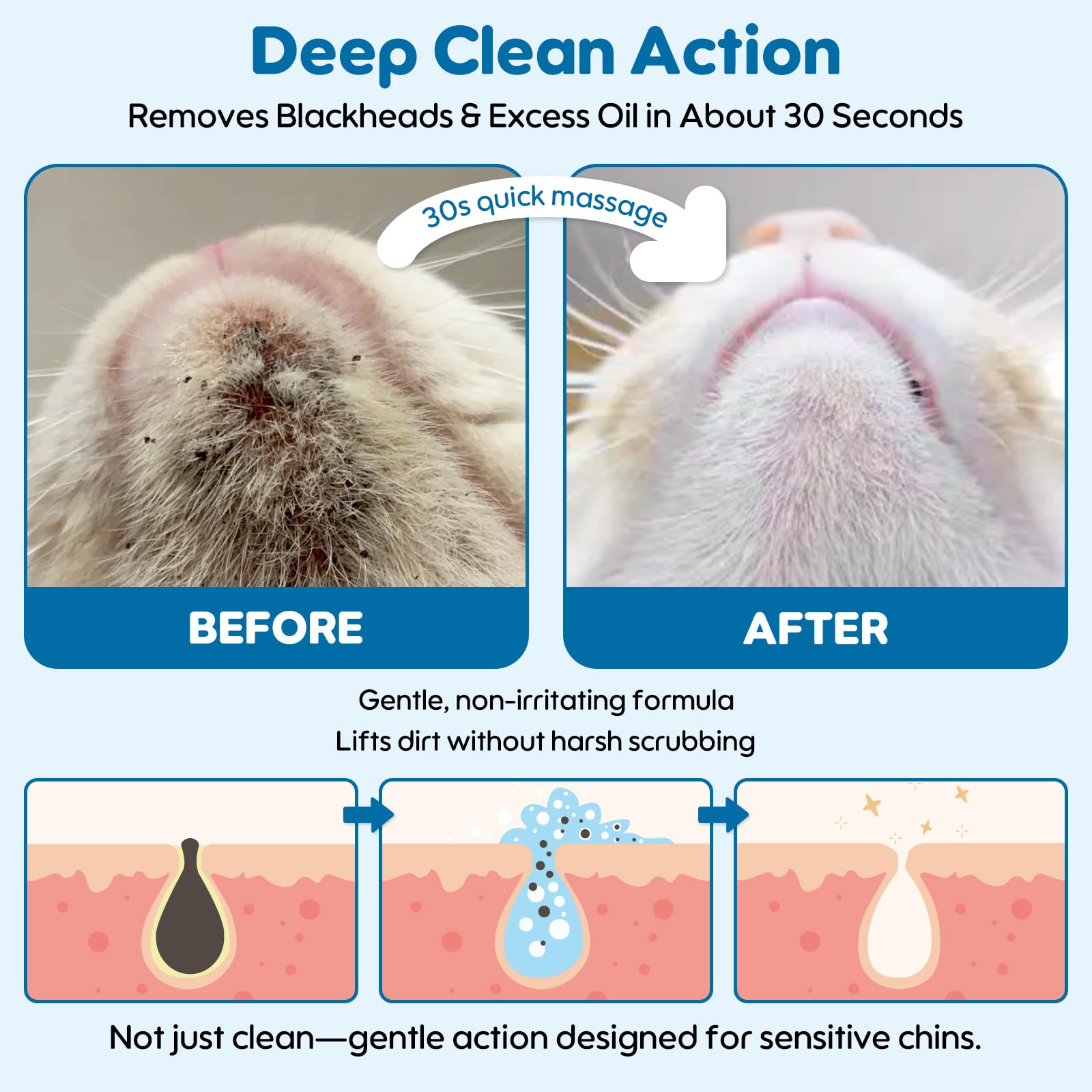 Oivolii Cat Chin Care Kit complete set showcases all components for a simple at-home routine.