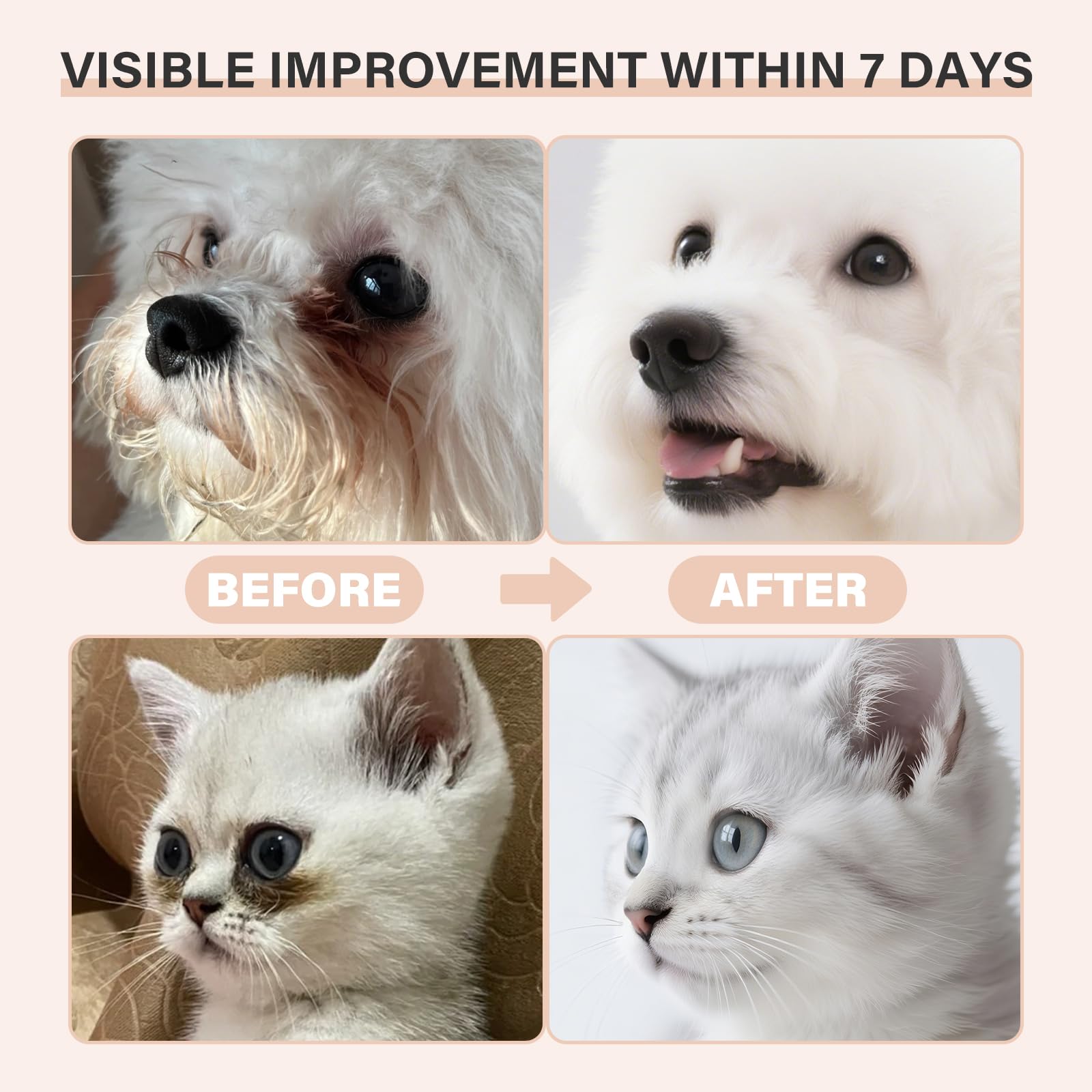 Oivolii balm on a cat's eye area reduces tear-stain visibility