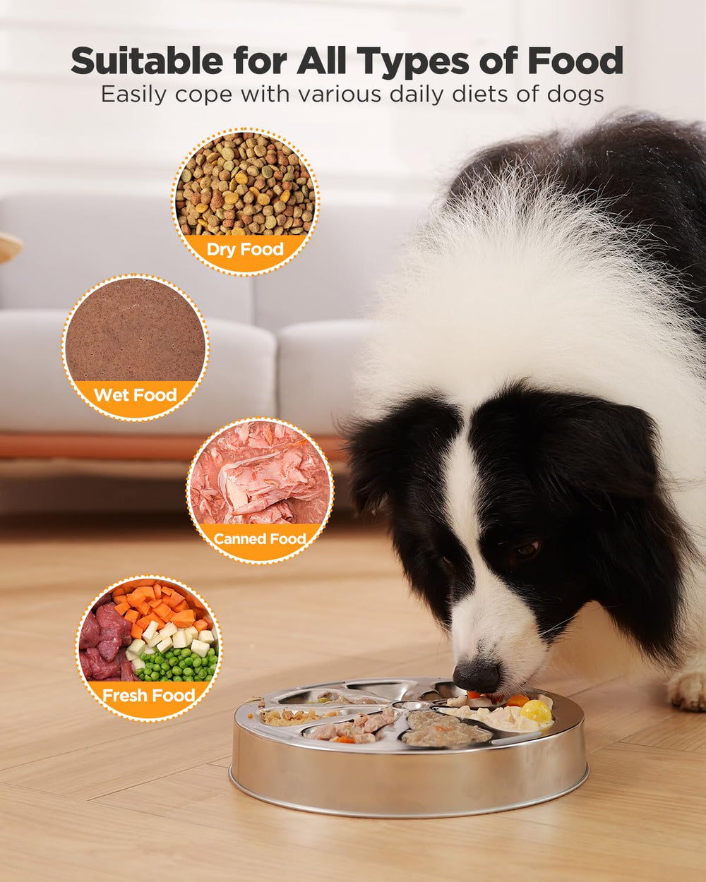 Oiwliur stainless steel dog bowl close-up shows rust-resistant material.