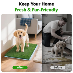 Oiyeefo soft-pile grass texture offers comfortable paw feel during use