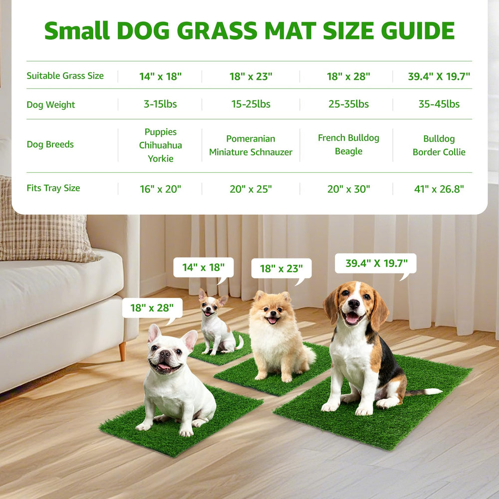 Two-pack Oiyeefo grass pads ready for multi-room setup