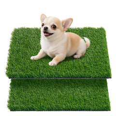 Oiyeefo artificial pee grass pad for potty tray—convenient indoor training.