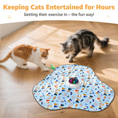 Oiyeefo cat toy feather movement demonstrates dynamic chase and engagement.