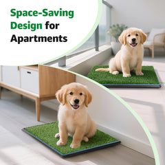 Oiyeefo indoor-outdoor use showcases versatile potty for home or balcony.