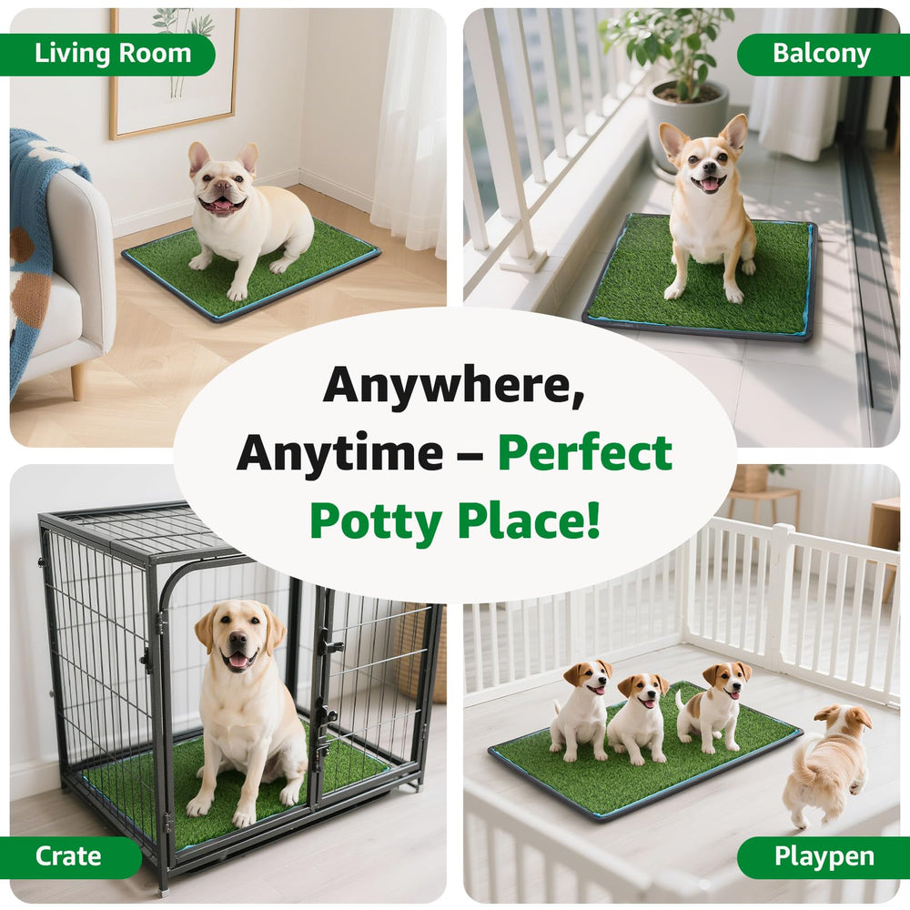 Oiyeefo puppy-potty-training-visual demonstrates quick, simple setup.