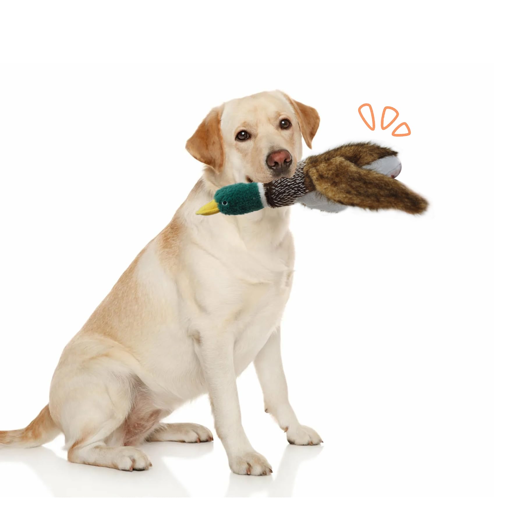 okegztoa teeth-cleaning design supports chewing routines during play.