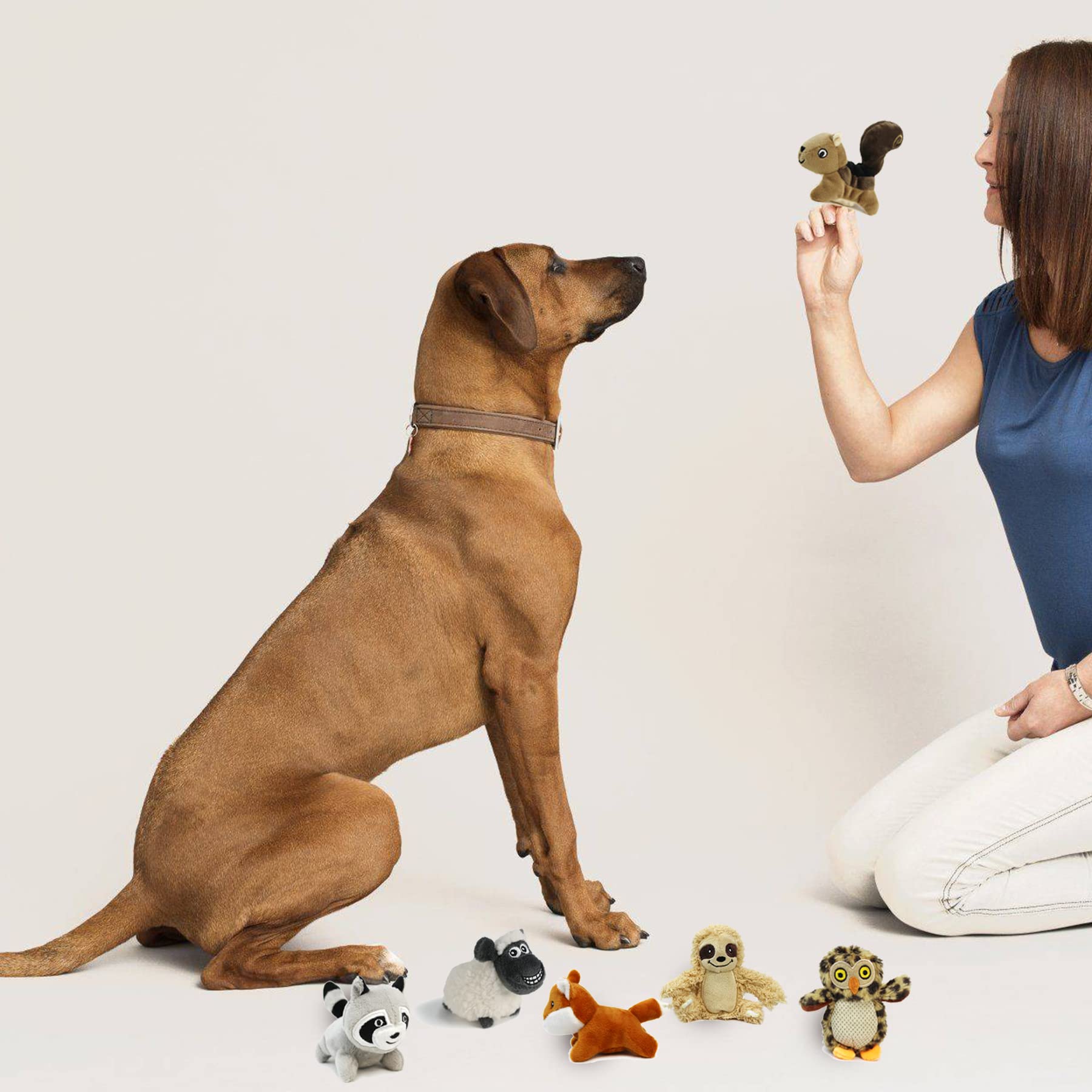 Okegztoa Hide and Seek Owl toy invites exploration with satisfying squeaks.