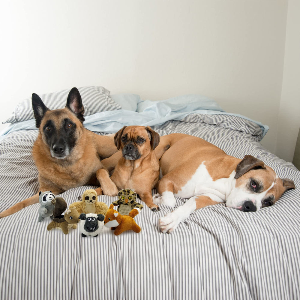Okegztoa Hide and Seek Squirrel toy boosts interactive challenges during playtime.
