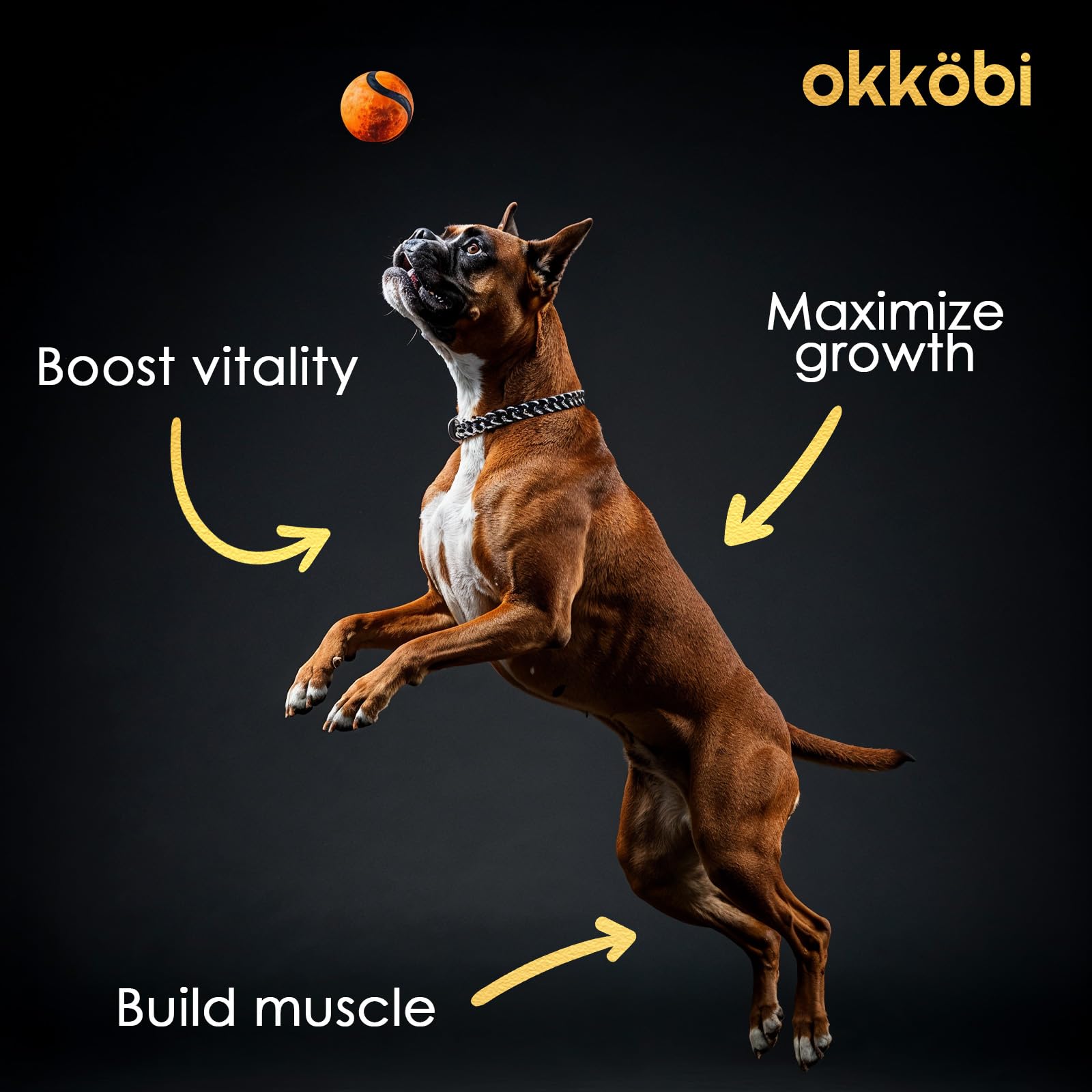 OKKÖBI 11-in-1 chicken flavor chews with high protein and amino acids