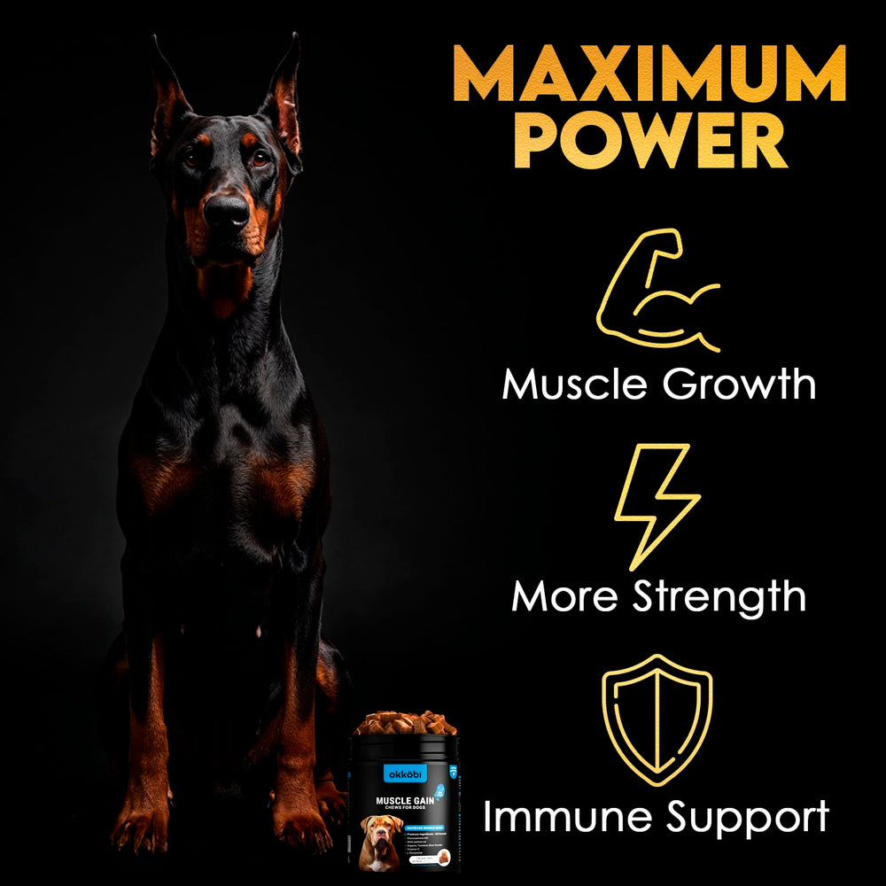 OKKÖBI 11-in-1 Muscle Gain Chews packaging highlighting all-breed support