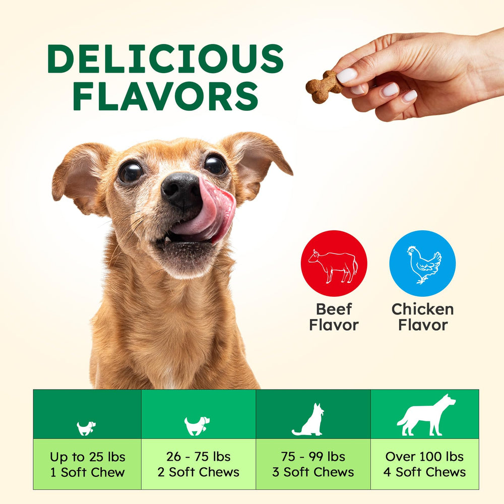 OKKÖBI Anal Gland Chews pumpkin-seed-powder ingredient highlighting natural fiber support